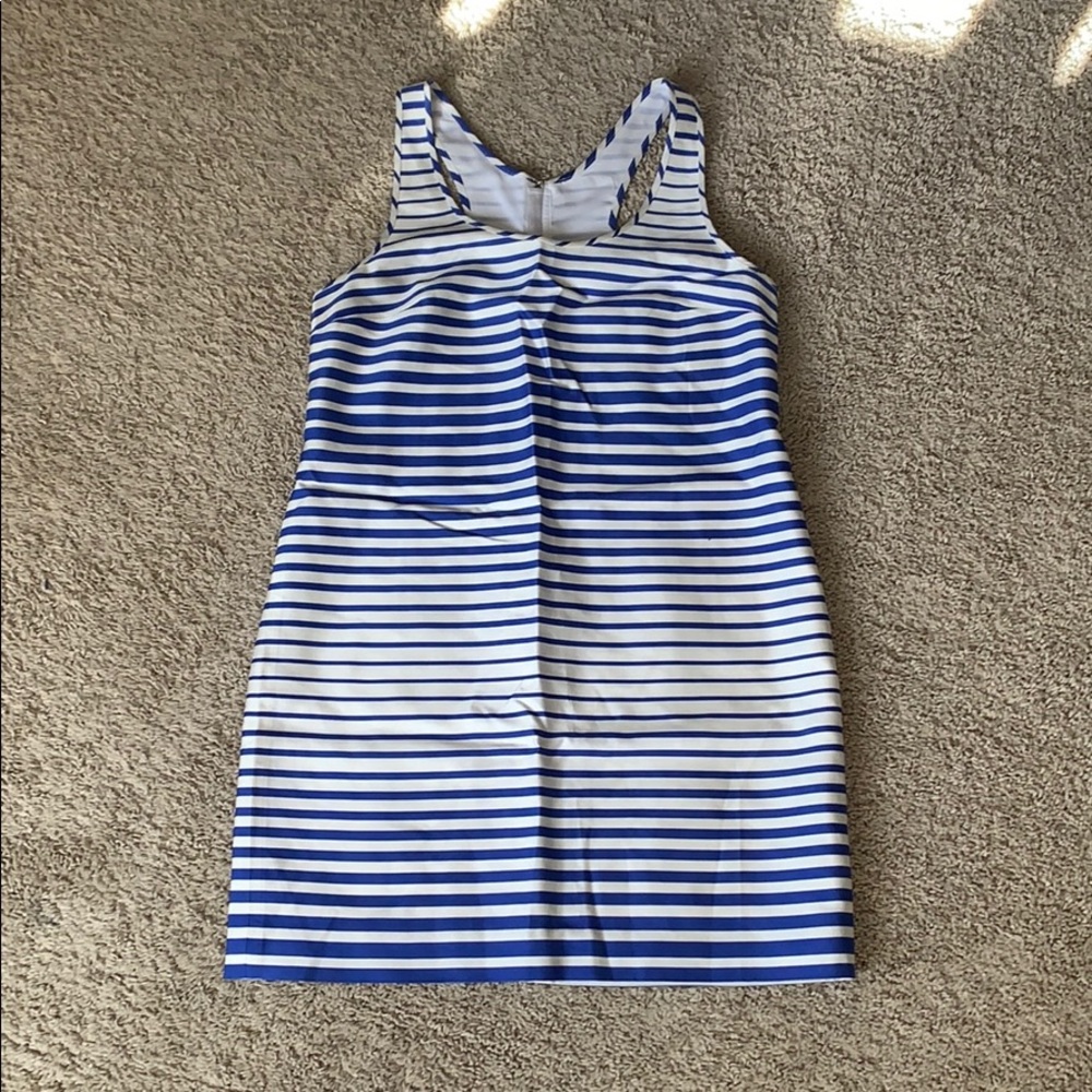 Blue and White Banana Republic Striped Dress